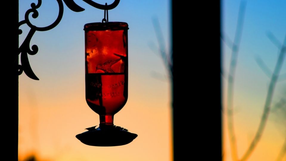 hummingbird feeders hanging off a porch entrance. 
