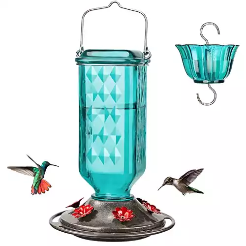 Kingsyard Hanging Glass Hummingbird Feeder
