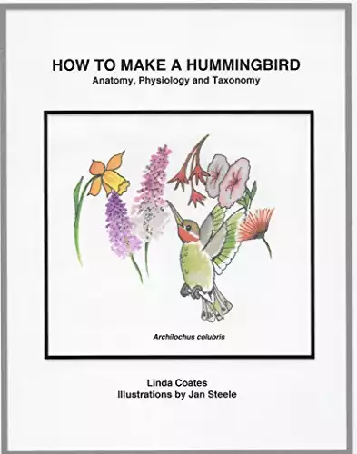 How to Make a Hummingbird: Anatomy, Physiology and Taxonomy
