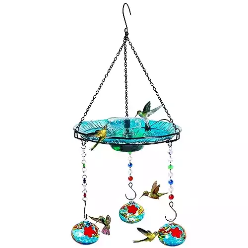 Headak Life Hummingbird Feeder and Solar Bird Bath