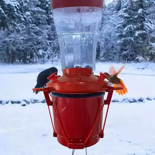 KISKISBY Hummingbird Feeder Heater