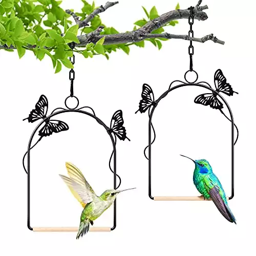 TopWoot Hummingbird Swing